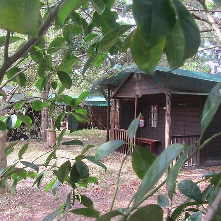 Toad Tree Cabins 소드와나 베이 외부 사진