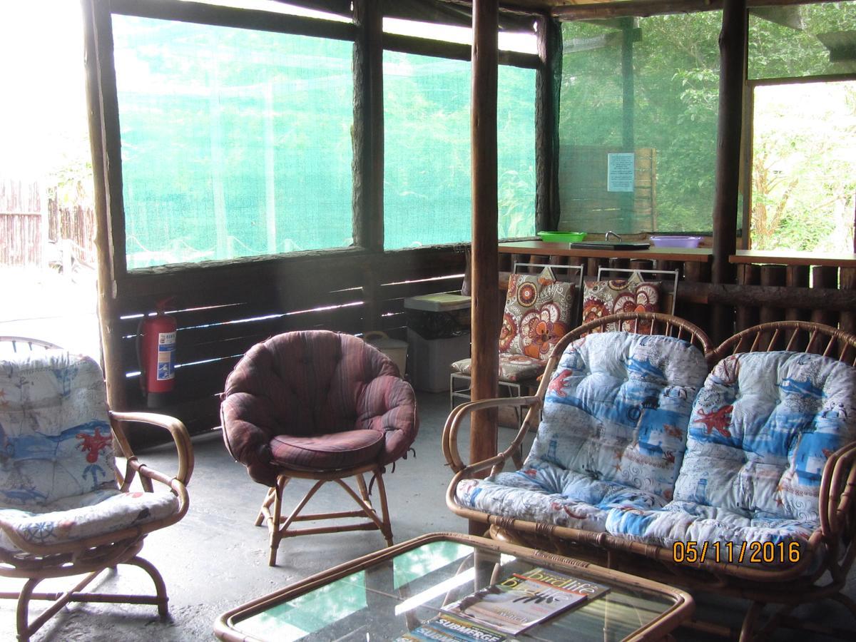 Toad Tree Cabins 소드와나 베이 외부 사진